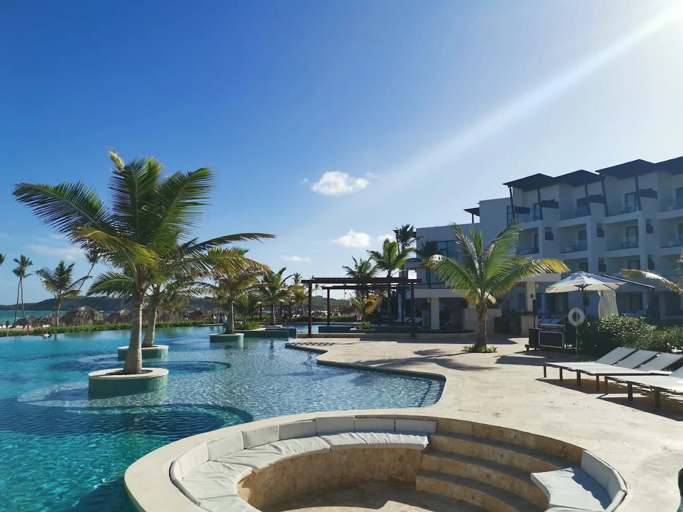 Main pool area with palm trees